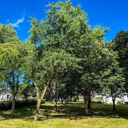 Appartamento T3 Moderne Avec Balcon Terrasse Et Parking Gratuit Niort Esterno foto