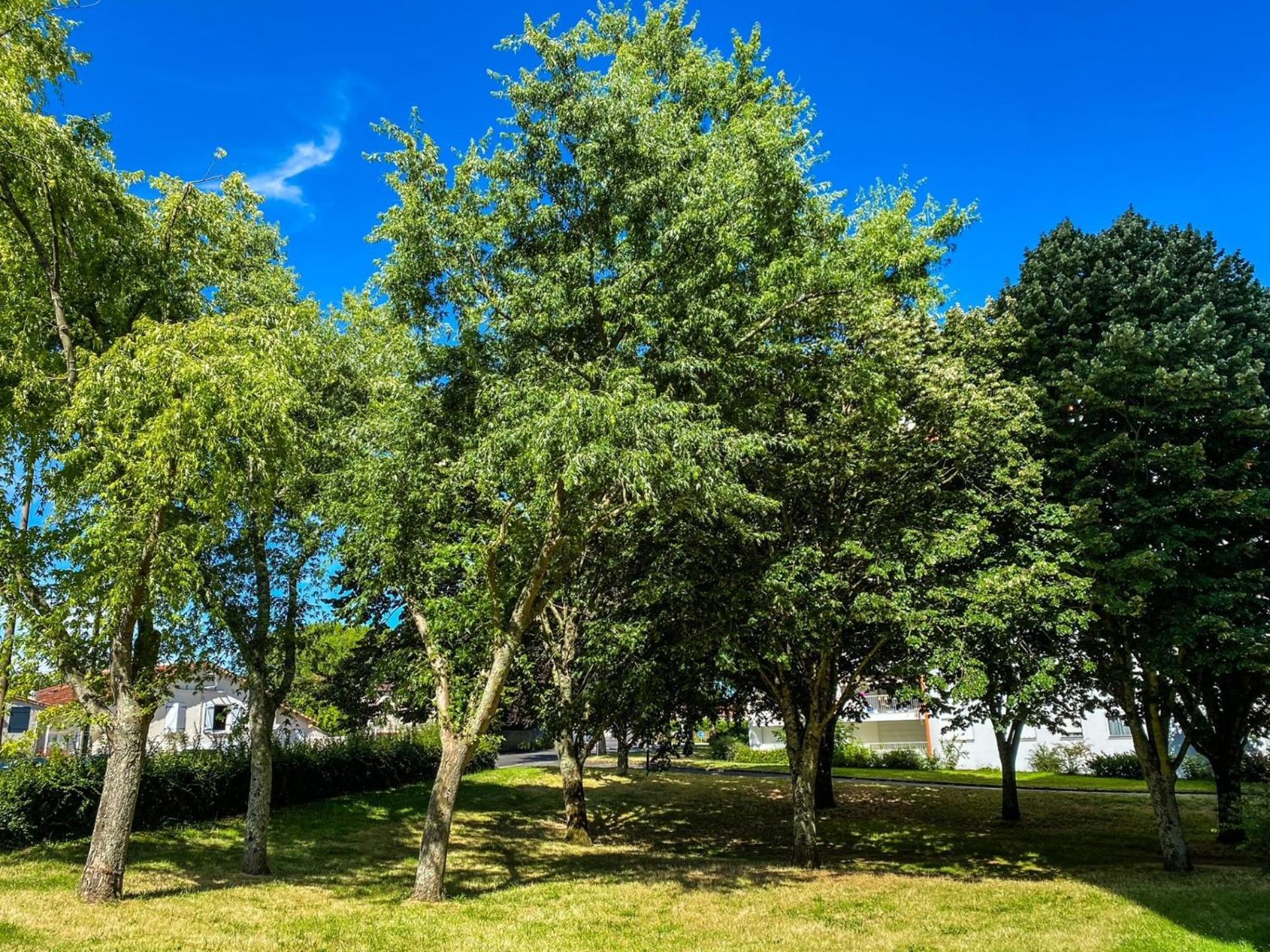 Appartamento T3 Moderne Avec Balcon Terrasse Et Parking Gratuit Niort Esterno foto